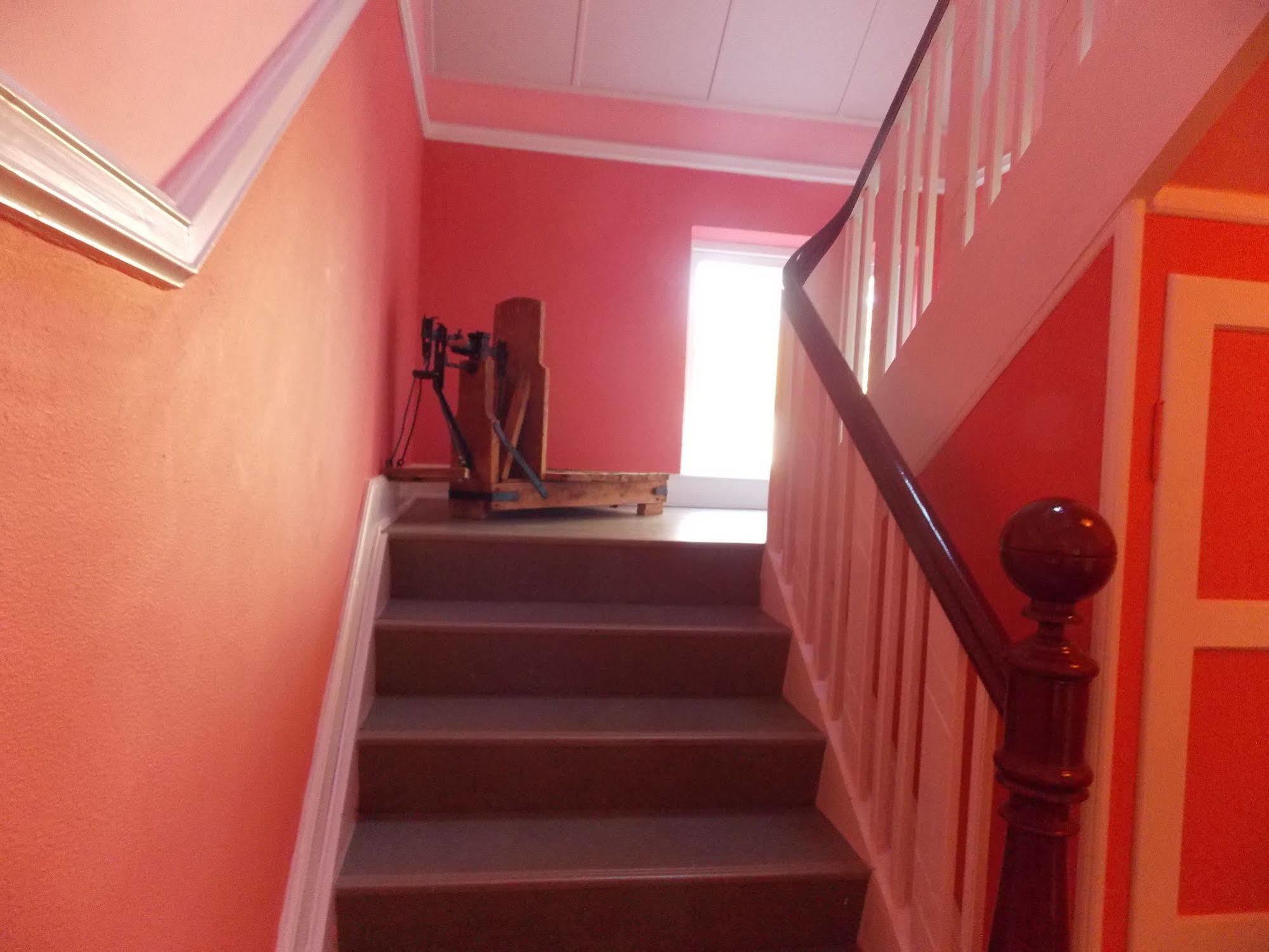 Nygammelso Bed & Breakfast Stege Buitenkant foto
